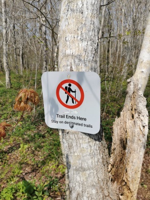 Trail