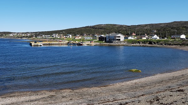 In Rocky Harbour