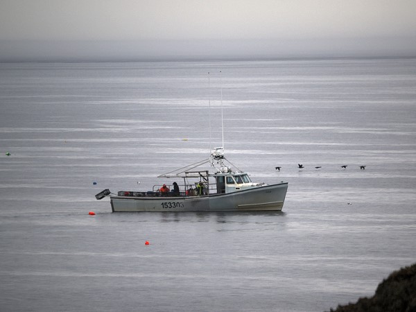 Fischerboot