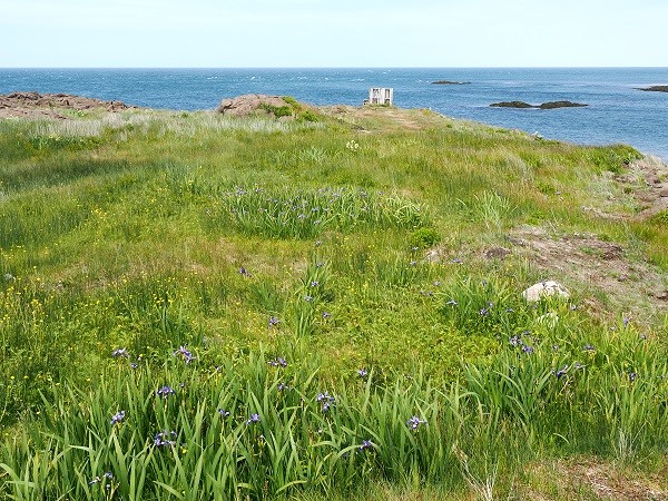 Küste