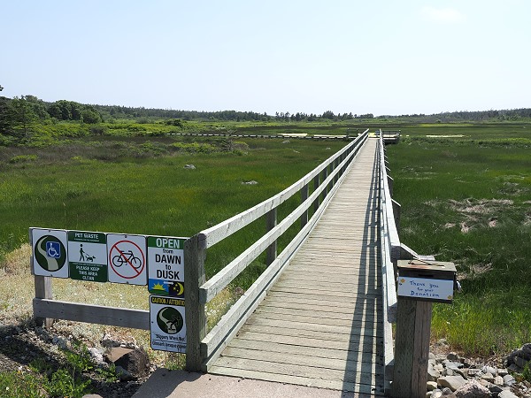 Anfang vom Trail