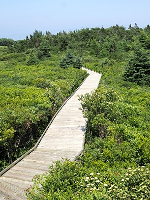 Weg