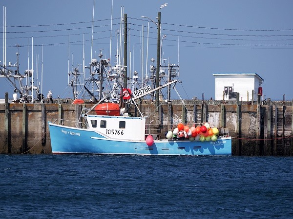 Im Hafen