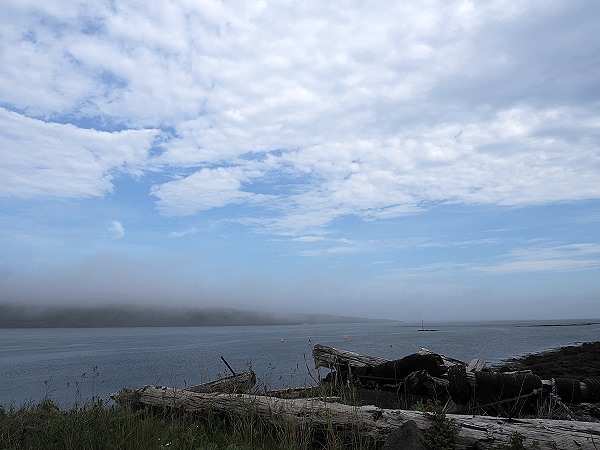 Nebel