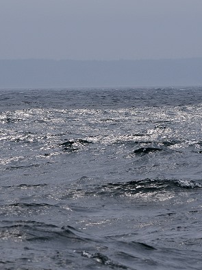 Meer
