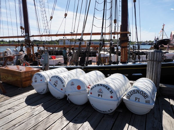 Bluenose