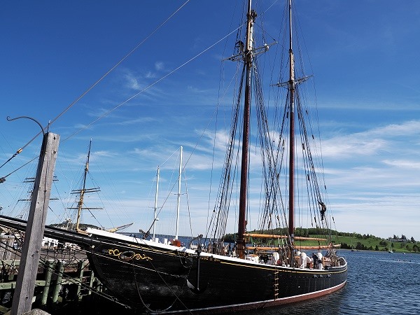Bluenose