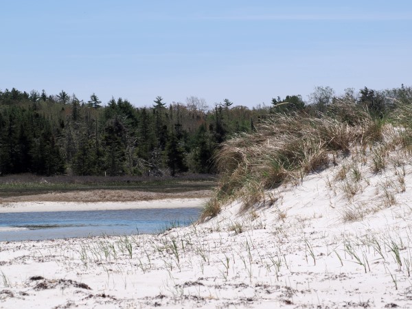 Carters Beach