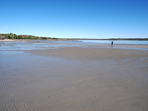 Strand bei Ebbe