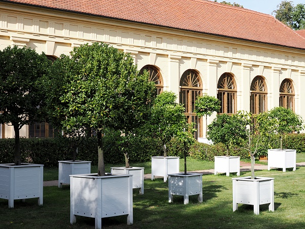 Orangerie