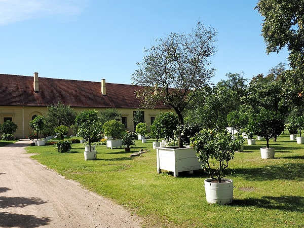 Vor der Orangerie