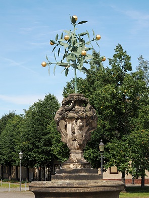 Orangenbaum am Markt