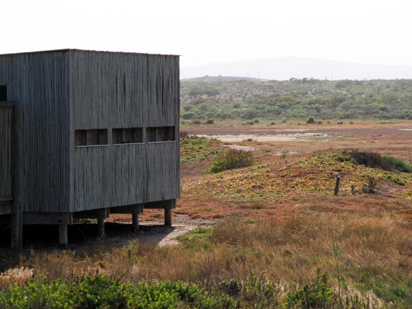 Bird Hide