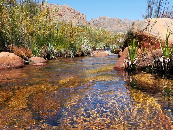 Klares, kaltes Wasser