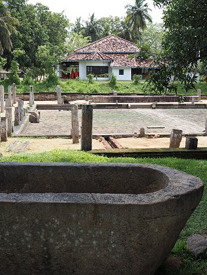 Reiswanne