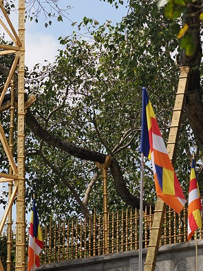 Goldene Stützen