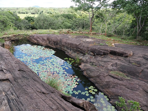 Kleiner Teich