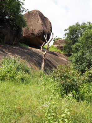 Felsen