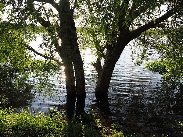 Abendstimmung