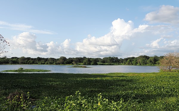 Wewa