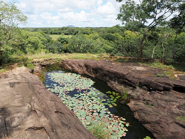 Felsen mit Pool