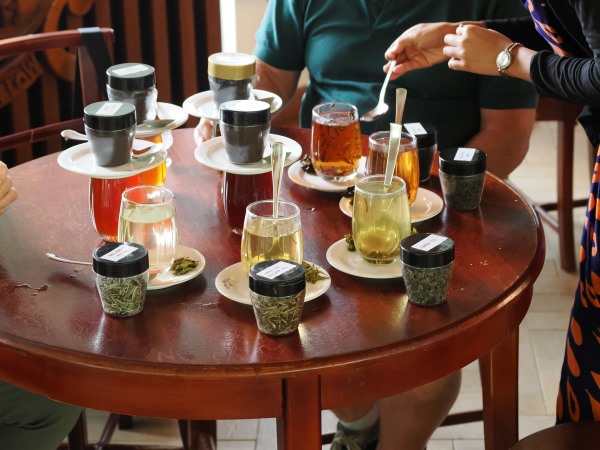 Teeverkostung