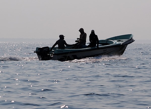 Fischer im Gegenlicht