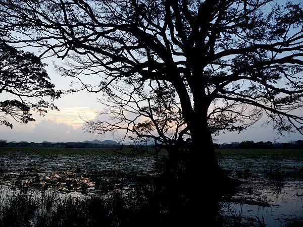 Abendstimmung am See