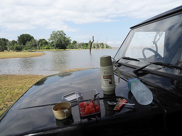 Frühstück auf der Motorhaube