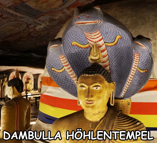 Buddha mit Kobra