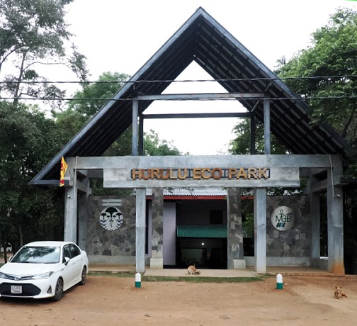 Eingang
