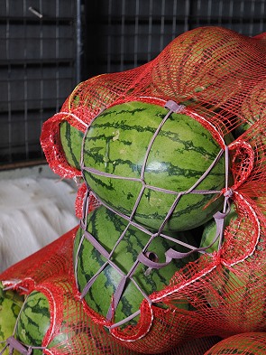 Melonen