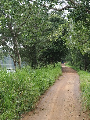 Weg