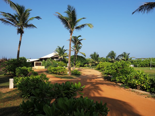 Restaurant und Rezeption