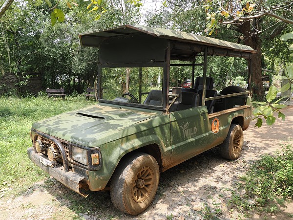 Safari Fahrzeug