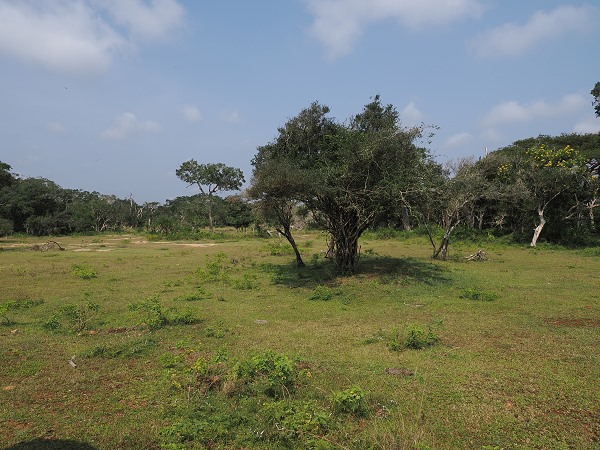 Landschaft
